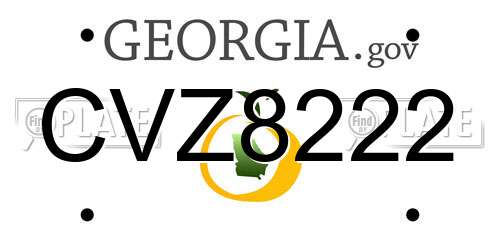 CVZ8222 Georgia License Plate