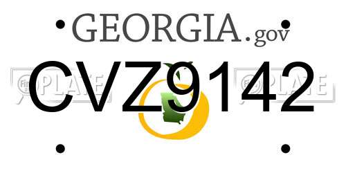 CVZ9142 Georgia License Plate