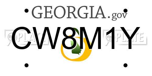 CW8M1Y Georgia License Plate