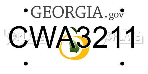 CWA3211 Georgia License Plate