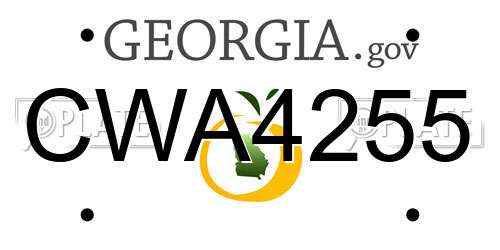 CWA4255 Georgia License Plate