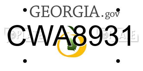 CWA8931 Georgia License Plate