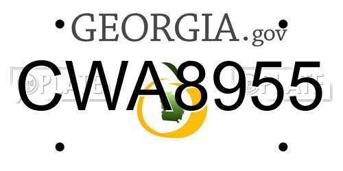 CWA8955 Georgia License Plate