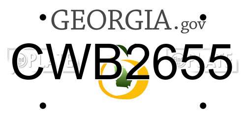 CWB2655 Georgia License Plate
