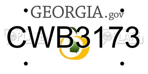 CWB3173 Georgia License Plate