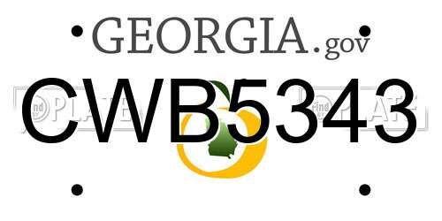 CWB5343 Georgia License Plate