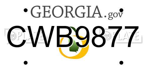 CWB9877 Georgia License Plate