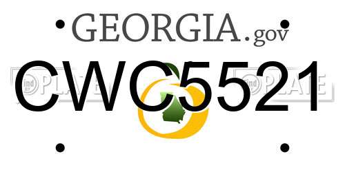 CWC5521 Georgia License Plate