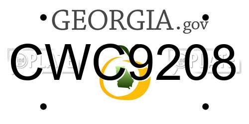 CWC9208 Georgia License Plate