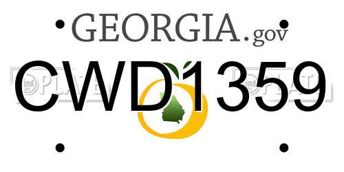 CWD1359 Georgia License Plate