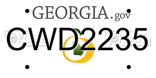CWD2235 Georgia License Plate