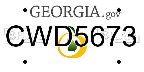 CWD5673 Georgia License Plate