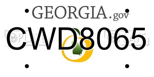 CWD8065 Georgia License Plate