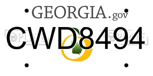 CWD8494 Georgia License Plate