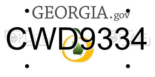 CWD9334 Georgia License Plate