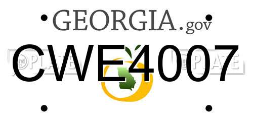 CWE4007 Georgia License Plate