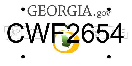 CWF2654 Georgia License Plate