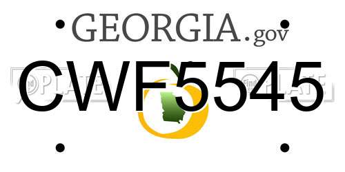 CWF5545 Georgia License Plate