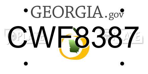 CWF8387 Georgia License Plate