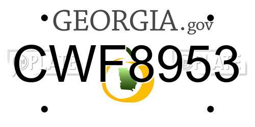 CWF8953 Georgia License Plate
