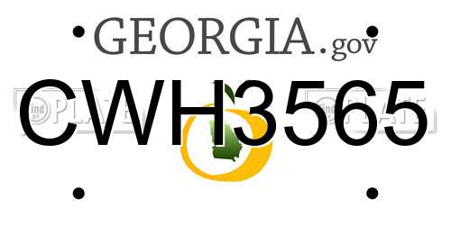 CWH3565 Georgia License Plate