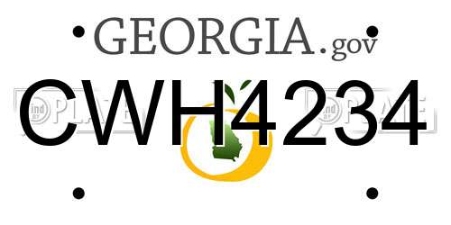 CWH4234 Georgia License Plate