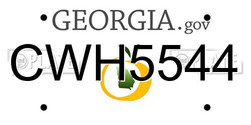 CWH5544 Georgia License Plate