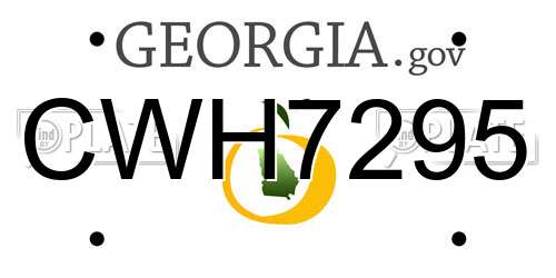 CWH7295 Georgia License Plate