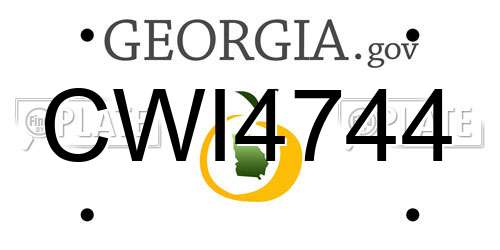 CWI4744 Georgia License Plate