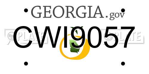 CWI9057 Georgia License Plate