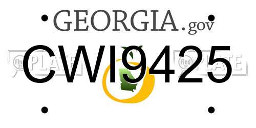 CWI9425 Georgia License Plate