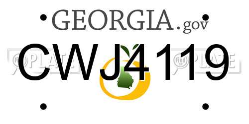 CWJ4119 Georgia License Plate