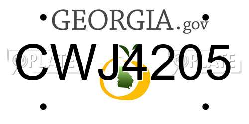 CWJ4205 Georgia License Plate