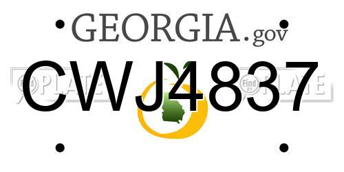CWJ4837 Georgia License Plate