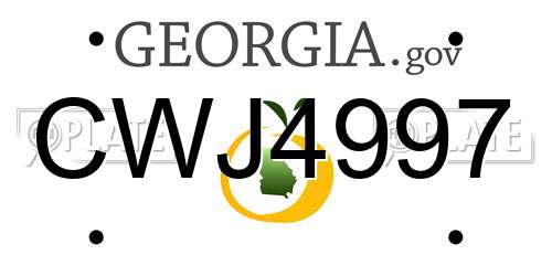 CWJ4997 Georgia License Plate