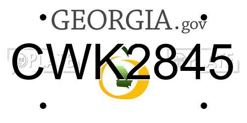 CWK2845 Georgia License Plate