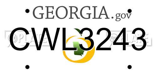 CWL3243 Georgia License Plate