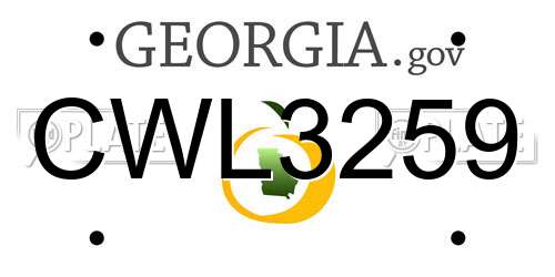 CWL3259 Georgia License Plate