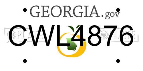 CWL4876 Georgia License Plate