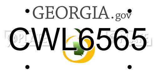 CWL6565 Georgia License Plate