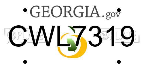 CWL7319 Georgia License Plate