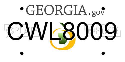 CWL8009 Georgia License Plate