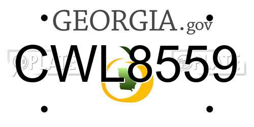CWL8559 Georgia License Plate