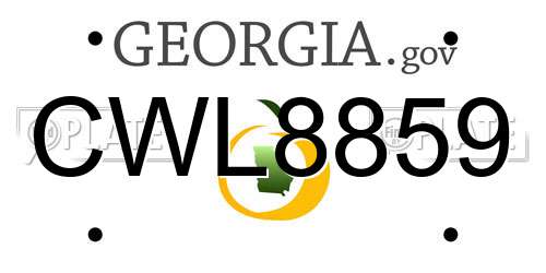 CWL8859 Georgia License Plate