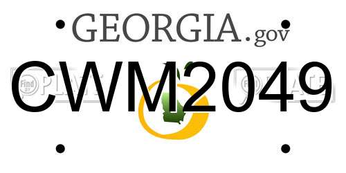 CWM2049 Georgia License Plate