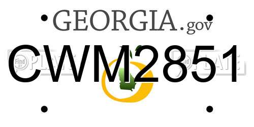 CWM2851 Georgia License Plate