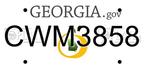 CWM3858 Georgia License Plate