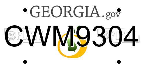 CWM9304 Georgia License Plate