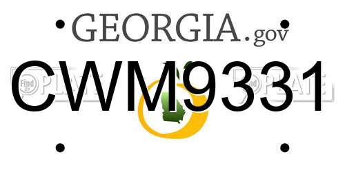 CWM9331 Georgia License Plate