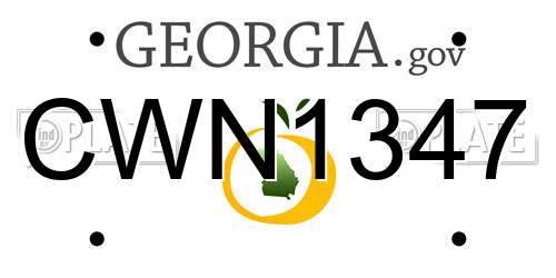 CWN1347 Georgia License Plate